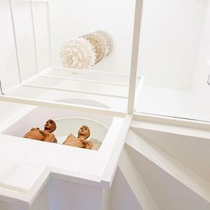 Deluxe Appartement